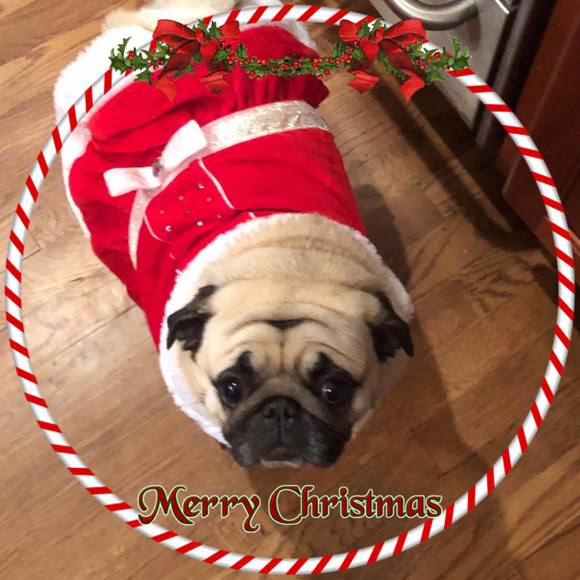 Meet your Posher, Kaye - Picture 1 of 1